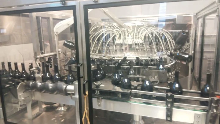 Sciacquatrice usata Costec